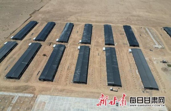 配资股配资 戈壁滩上发“羊”财 玉门十万只肉羊基地重塑戈壁经济