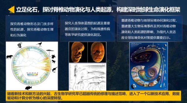 a股加杠杆 亿万年前的生命如何“重现”？中国科研团队用科技“复活”古生物！